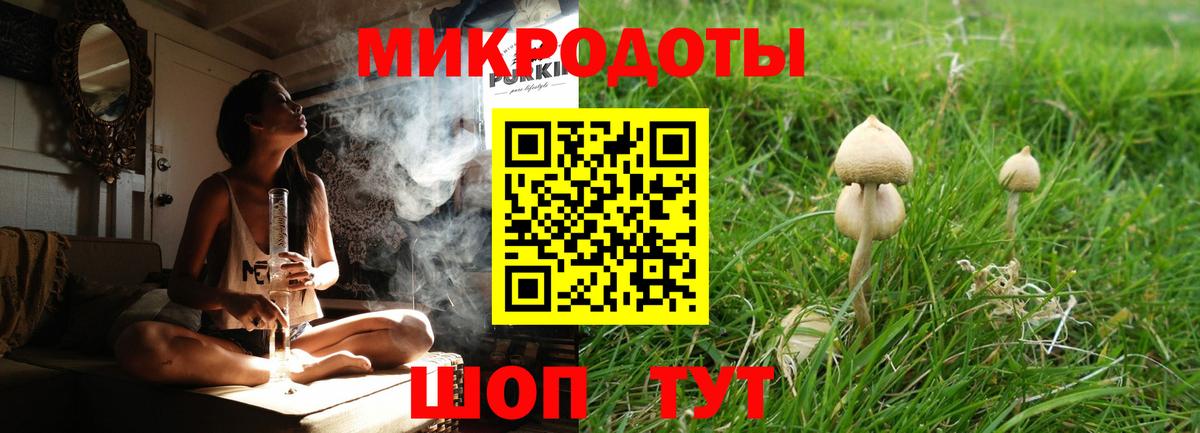 Псилоцибиновые грибы мицелий Луга
